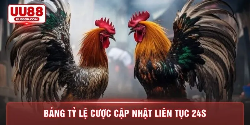 Bảng tỷ lệ cược cập nhật liên tục 24s