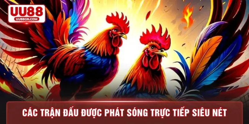Các trận đấu được phát sóng trực tiếp siêu nét