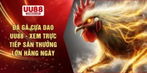 Đá gà cựa dao UU88 - Xem trực tiếp săn thưởng lớn hằng ngàyĐá gà cựa dao UU88 - Xem trực tiếp săn thưởng lớn hằng ngày