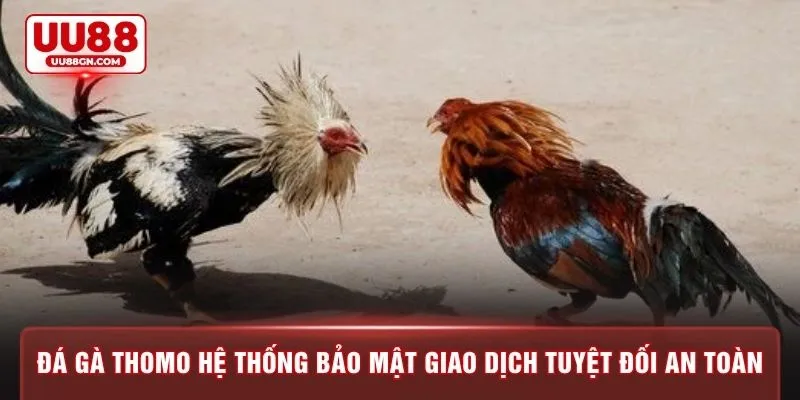 Đá gà Thomo hệ thống bảo mật giao dịch tuyệt đối an toàn