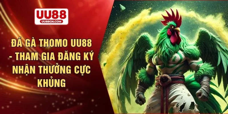 Đá gà Thomo UU88 - Tham gia đăng ký nhận thưởng cực khủng