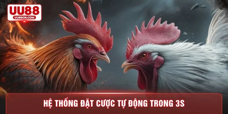 Hệ thống đặt cược tự động trong 3s