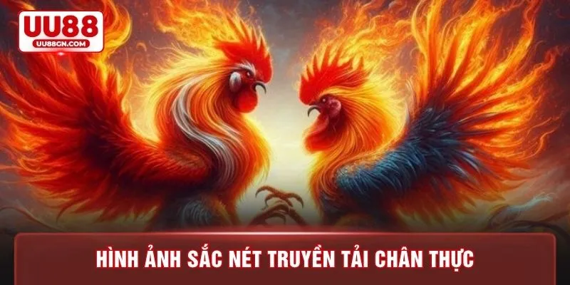 Hình ảnh sắc nét truyền tải chân thực