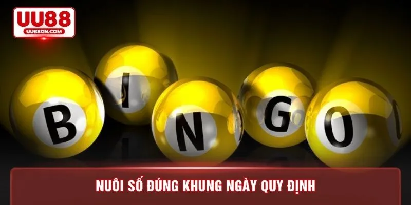 Nuôi số đúng khung ngày quy định