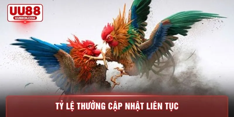 Tỷ lệ thưởng cập nhật liên tục