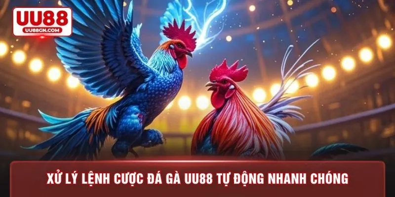 Xử lý lệnh cược đá gà UU88 tự động nhanh chóng